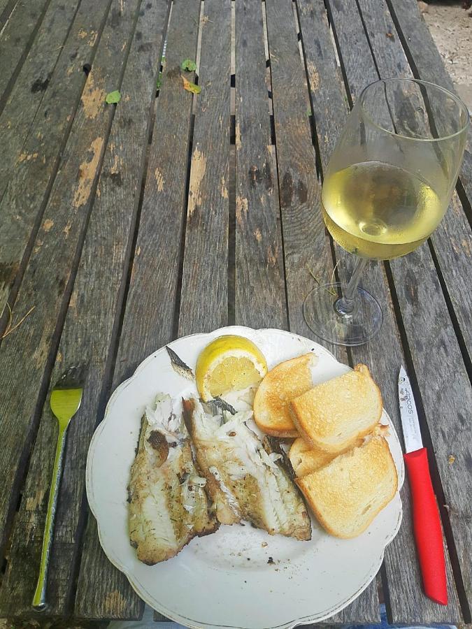 Jahbazaar Camping * Jurmala